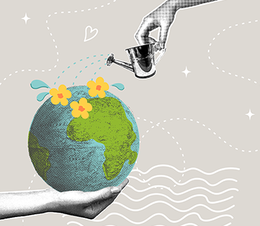 What is the ecological future of paper hygiene products?